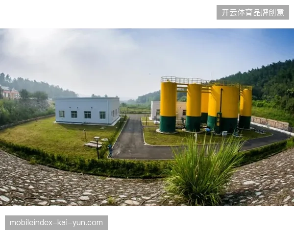未来三年区域赛事内容确权服务将拉动场馆运营市场显著增长